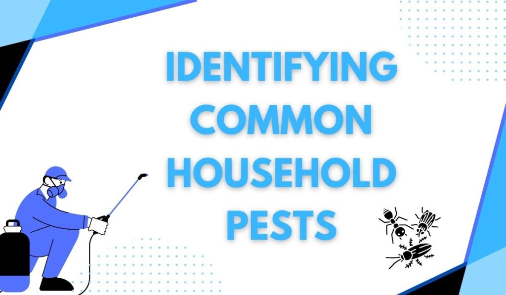 Identifying Common Household Pests