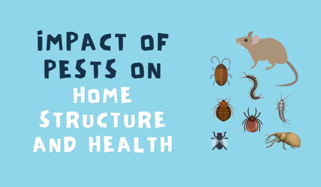 Impact of Pests on Home Structure and Health