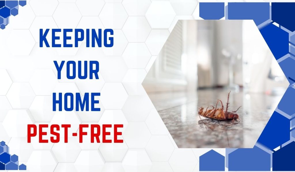 Preventive Measures: Keeping Your Home Pest-Free